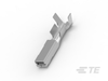 Automotive Terminals - 1981341-2 - TE Connectivity