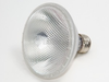 75 Watt, 120 Volt Halogen Food Service PAR30 Flood - B690075 - bulbs.com