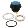Switches - Pushbutton Switches -- 30-205 - Image