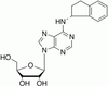 (R)-N-(2,3-Dihydro-1H-indenyl)adenosine - 24173 - Medical Isotopes, Inc.