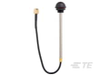 Antennas - ANT-916-WRT-RPS - TE Connectivity