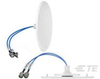 Antennas - CFD69383P1-B30NF - TE Connectivity