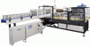 Intermittent Motion Wrap-Around Tray Packer/Case Packer -- DPM-2000 - Image