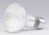 Standard Incandescent Lamp -- 45R20/DL/RP-120V/15698 - Image