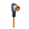 M12 Standard Sensor/Actuator Single-Ended Cordset: Female, angled, 8-pin, A-coded, translucent body, 30 V AC/DC, 2 A; PUR orange cable, 7-wires, 0.25 mm² - RKWT 8-09 - Belden Inc.