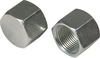 1/4" NPT Cap - 8238701 - Princess Auto Limited