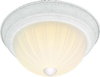 Flush Mounts-Bowl Style - 356070 - Light Center (The)
