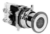 Illuminated Push-Pull Switch Operator -- 10250T480