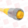 QD Cable/Cord Set - 4068631 - Radwell International
