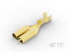Quick Disconnects - 170304-2 - TE Connectivity