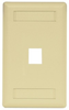 Datacommunication Face Plate - IFP11EI - Hubbell Incorporated