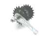 Sprocket/Gear - Radwell International