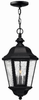 Exterior -Hanging - 604667 - Light Center (The)