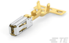 Automotive Terminals - 1-968855-2 - TE Connectivity