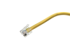 QD Cable/Cord Set - Radwell International