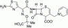 delta2-Ceftazidime - 21918 - Medical Isotopes, Inc.