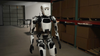 Humanoid Robot -- APOLLO - Image