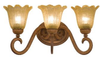 3543BG/1464 Bathroom Fixtures-Three Lights - 424167 - Capital Lighting, Inc.