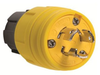 Locking Device Plug -- 24W47 - Image