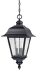 9966BK Exterior -Hanging - 785796 - Capital Lighting, Inc.