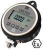 Industrial Pressure Indicator -- IPI10KG - Image