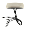 RF Antennas - 3628-1399.17.0344-ND - DigiKey