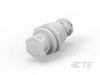 Push Button Switches - K1158065 - TE Connectivity
