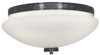 23865-CH/OPL Flush Mounts-Bowl Style - 362683 - Capital Lighting, Inc.