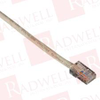 QD Cable/Cord Set - 19279913 - Radwell International
