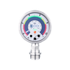 Flush pressure sensor with display -- PG1704 - Image