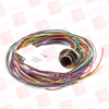 Plug/Receptacle -- 21628468