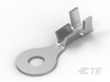 Ring Terminals - 41579 - TE Connectivity
