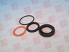 Hydraulic Cylinder Rebuild Kit / Seal Kit -- 172976954