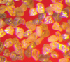 Micron Diamond Powders -- Resin Bond Economy Grade Diamond Powder - Image