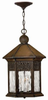 2992SN Exterior -Hanging - 791881 - Capital Lighting, Inc.