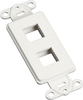 2-Port White Insert Wallplate - WP701 - Black Box