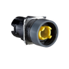 Configurable Switch Bodies - 4008-ZB6AD02-ND - DigiKey