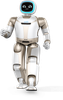 Humanoid Robot -- Walker - Image