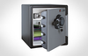 Electronic FIRE-SAFE&reg; - SFW123GSC - Sentry Group
