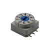 DIP Switches - 2449-RD10RA10CGT-ND - DigiKey