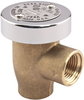 Lead Free* Hot or Cold Water Anti-Siphon Vacuum Breakers -- LF288A - Image