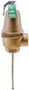 Automatic Reseating Temperature and Pressure Relief Valve -- N240X, N241X - Image