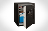 Electronic FIRE-SAFE&reg; - DS5781 - Sentry Group