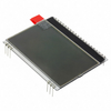 Display Modules - LCD, OLED, Graphic - 1481-1067-ND - DigiKey