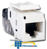 Siemon Tool-Less MAX Keystone Module - Cat 5e - MX-K-C5-02 - TelephoneStuff.com