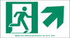 Brady Bradyglo B-523 Polyester Rectangle White Exit Sign - 14 in Width x 5 in Height - Glow in the Dark, Laminated - 81914 - 754473-81914 - R. S. Hughes Company, Inc.