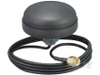 Antennas - ANT-5GW-SPS1-3 - TE Connectivity