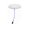RF Antennas - CLS69273P-30D43F - Quarktwin Technology Ltd.