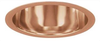 Incandescent/Fluorescent/Hid Recessed Trim - C600WS-BS - Juno Lighting Group