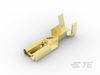 Quick Disconnects - 1217096-1 - TE Connectivity